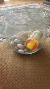 Classic fish bowl