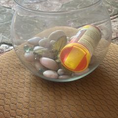 Classic fish bowl