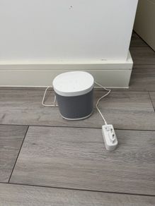smart speaker