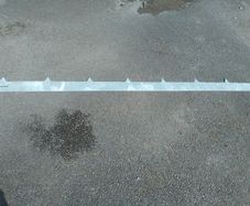 Garden edging