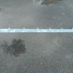Garden edging