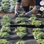 Weed control fabric/ weed membrane Image 2