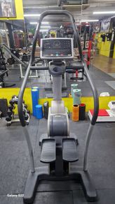 TechnoGym Stepper