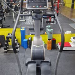 TechnoGym Stepper