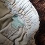 Boy 12-18 months Shorts Timberland Monsoon Image 3