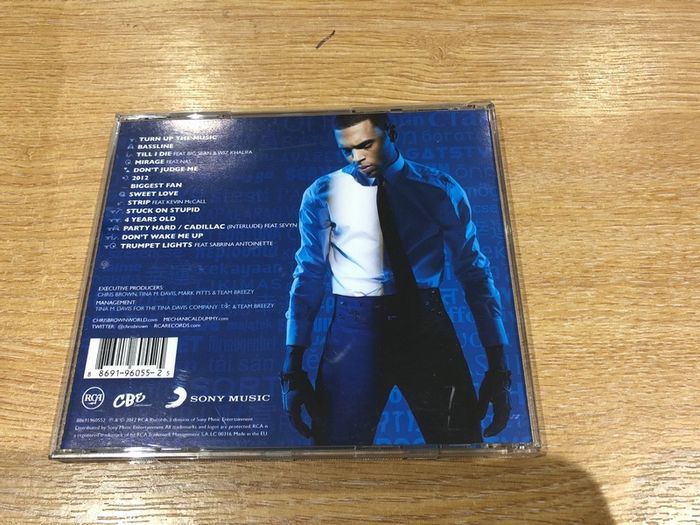 Chris Brown " Fortune"