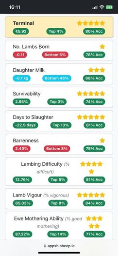 Mid March PBR Tex Ram Lamb