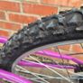 Kids youngster mtb mountain bike 24 inch whes Image 2