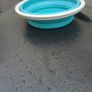 Collapsible Pet Bowl Image 2