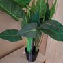 Artificial Plant Flowers Large Size new Image 2