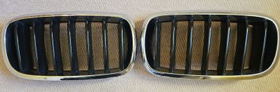 Genuine Front kidney grilles for BMW X6 F16