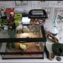 Terrarium / Vivarium Reptile Tank Image 2