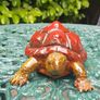 Turtle - Enameled Bronze Image 8