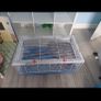 Hamster Cage Image 2