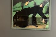 picture lady couched