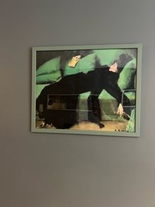 picture lady couched