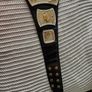WWE Spinning Belt Image 3