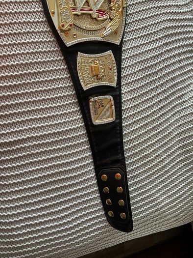 WWE Spinning Belt