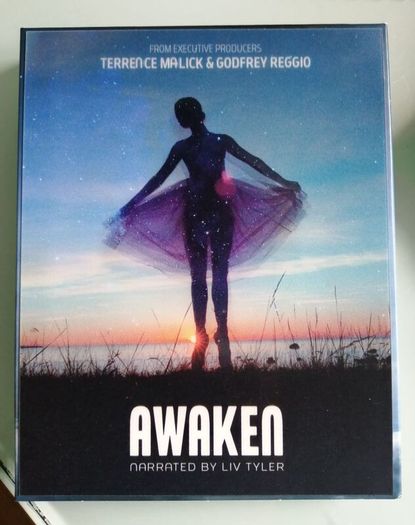 Awaken 4k