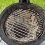 Egg charcoal bbq small Image 3