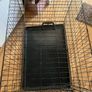 Dog crate Image 2