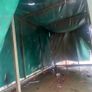 Ivor Williams Covered Trailer Image 6