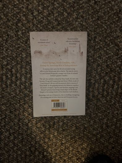 The Ballad of Lord Edward and Citizen Small Neil Jordan Book