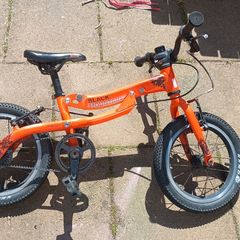 Black Mountain Pinto balance and pedal bike