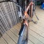 Bike Image 6