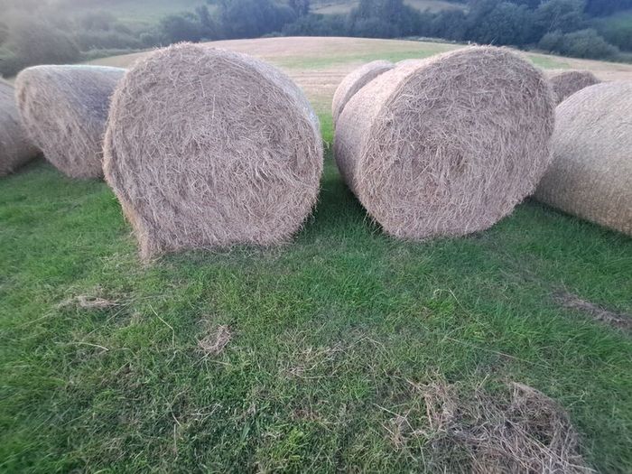 Bales of Hay