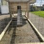 Chicken Coop Image 7