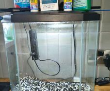 fish tank with filter and accessories