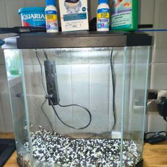 fish tank with filter and accessories