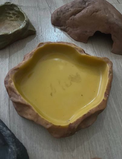 Bundle of Reptile Acessories Feeding Bowls