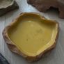 Bundle of Reptile Acessories Feeding Bowls Image 7