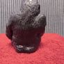 King Kong Image 6