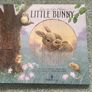 "Time To Go Home Little Bunny " Image 5