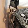 V by Very snake print bag - New Image 3