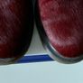 Dr Martens / Docs Size 5 , 1461 Pony Hair Shoes in Cherry Red Colourway 10078 Image 2
