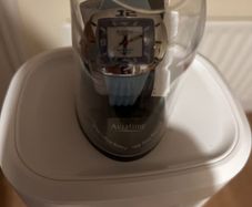 Ladies Watch