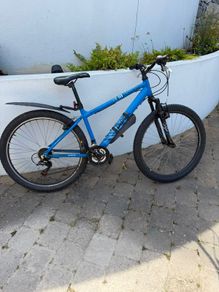 Boys 17' Bike