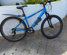 Boys 17' Bike
