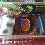 Corn Snake Medium Exoterra starter kit Image 2
