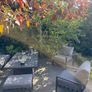 Garden Dining and Garden lounge sets Image 9