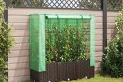 Raised Garden Bed with Greenhouse Cover