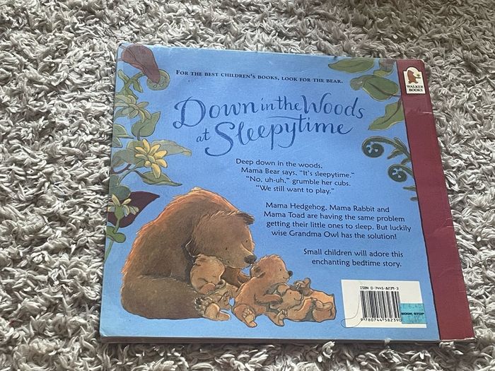 Selection of Childrens books (10 books)