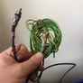 patch bay SwichCraft with long cables (1of2) Image 7