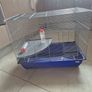 rat, chinchilla, hamster, guinea pig, rodent cage Image 2