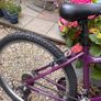Bike Image 5