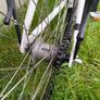 Raleigh ladies bike Image 6